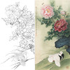 竖幅工笔花鸟白描底稿-牡丹鸽子-李晓明-A133 商品缩略图0