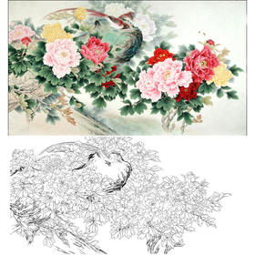 横幅工笔花鸟白描底稿-牡丹-李晓明-A181