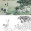 横幅工笔花鸟白描底稿-松鹤牡丹-郑路迅-A174 商品缩略图0