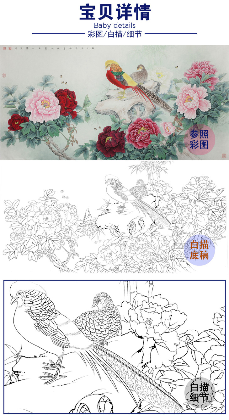 白描底稿-工笔横幅四尺六尺花鸟-牡丹锦鸡-a152