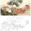 横幅四尺六尺工笔花鸟白描底稿-路雨年-荷花九鱼图-A154 商品缩略图0