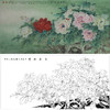 横幅工笔花鸟白描底稿-牡丹-郑路迅-A177 商品缩略图0