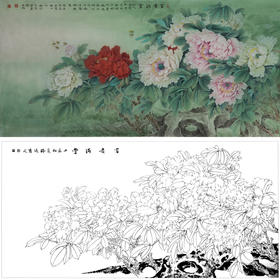 横幅工笔花鸟白描底稿-牡丹-郑路迅-A177