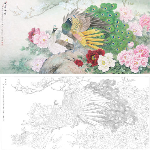 横幅工笔花鸟白描底稿-牡丹孔雀-李晓明-A175 商品图0