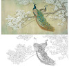 横幅工笔花鸟白描底稿-玉兰花孔雀-李科宏-A158 商品缩略图0