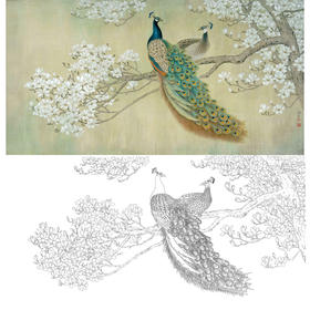 横幅工笔花鸟白描底稿-玉兰花孔雀-李科宏-A158