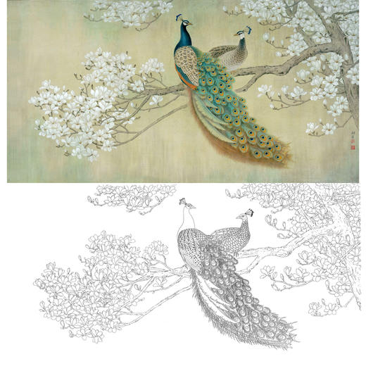 横幅工笔花鸟白描底稿-玉兰花孔雀-李科宏-A158 商品图0