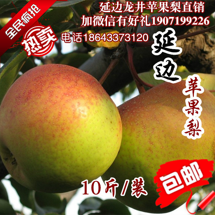 东北延边延吉龙井苹果梨新鲜水果特大级单个250克以上