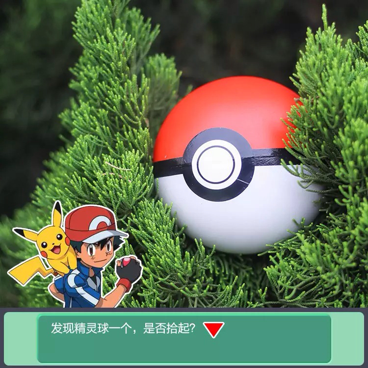 就决定是你啦!宠物精灵球玩具