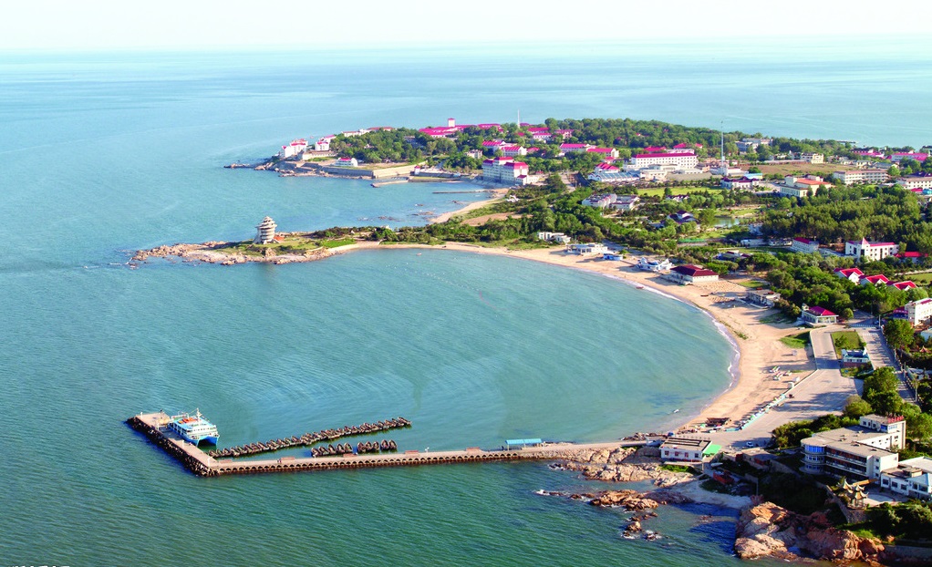 我梦到那粒绿豆 波澜哥