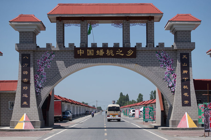 【全国包邮预售】中国蟠桃之乡——石河子143团正宗蟠桃精装2.