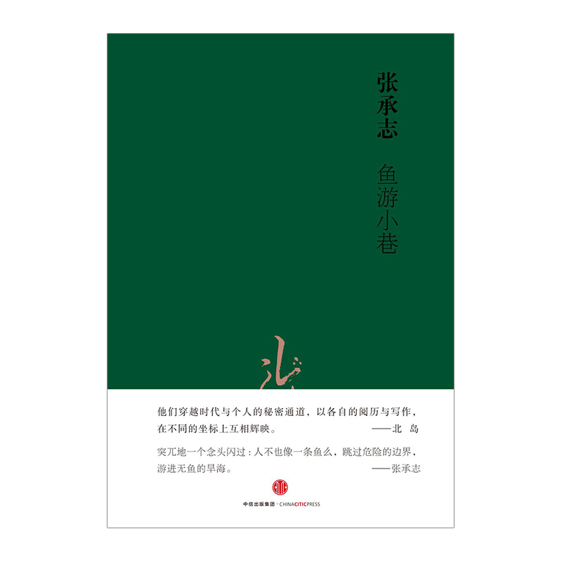 鱼游小巷(视野丛书) 张承志 散文/随笔/书信 穿越世界,以笔为旗,作家