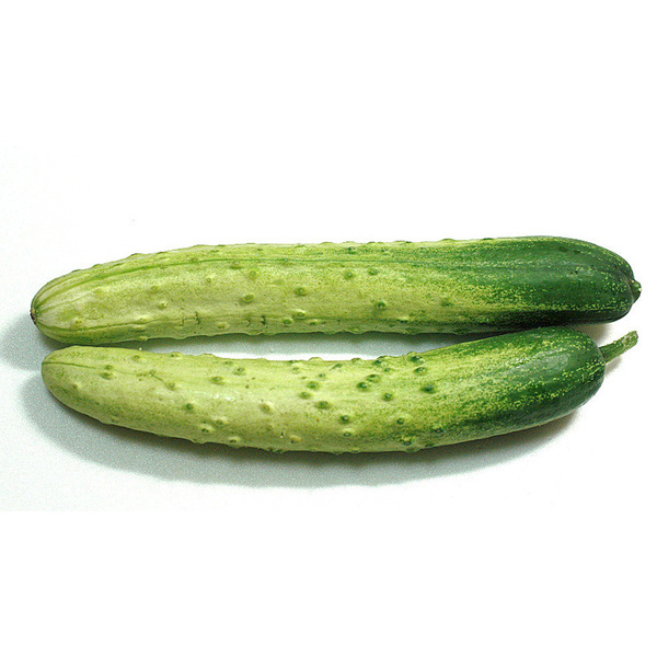 【马小果_黄瓜】时蔬土黄瓜 约 500g 富临-大都会