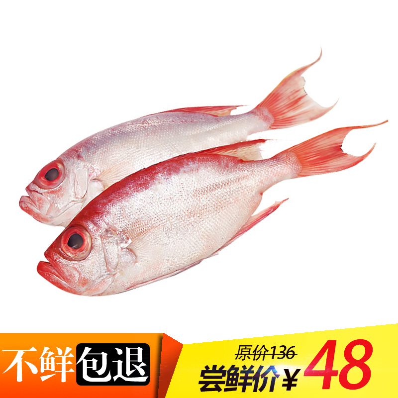 海南生鲜 大眼红鸡鱼 水产鲜活深海野生海产冰冻深海鱼