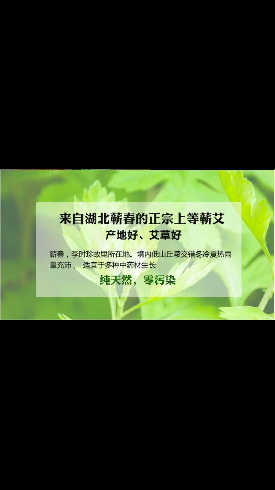 艾益生 专业火饼