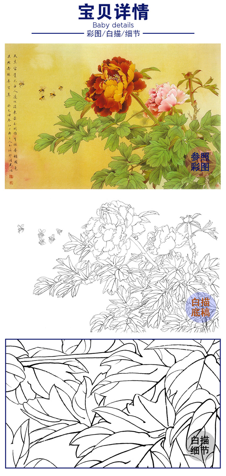 白描底稿-邹传安工笔花鸟-牡丹-a191