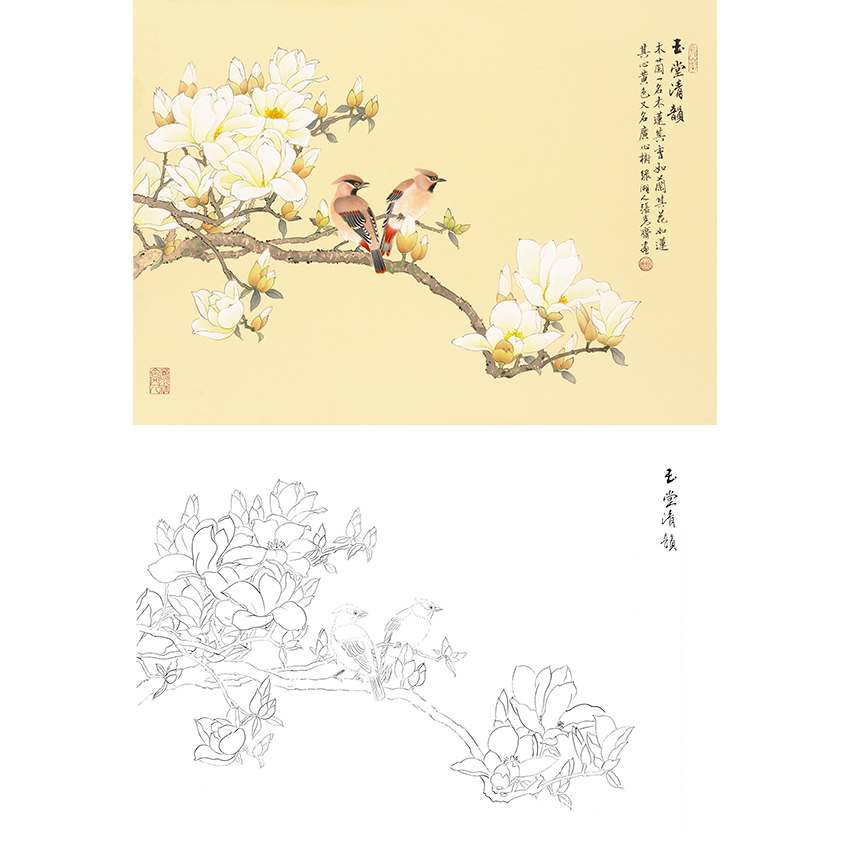 白描底稿-张克齐工笔花鸟-玉兰-a188