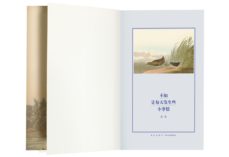 外封和内封的设计素材都选自奥杜邦( john james audubon) 所绘  the