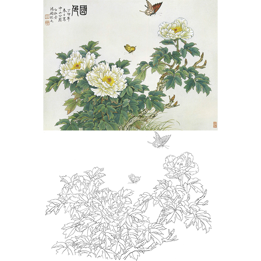 白描底稿-金鸿钧工笔花鸟-牡丹-a198