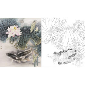 工笔花鸟白描底稿-路雨年-荷花鲤鱼-斗方小品册页-A206