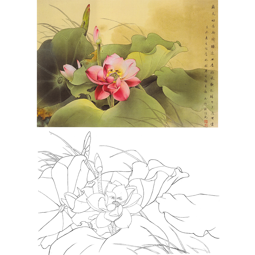 白描底稿-工笔花鸟-荷花-a194