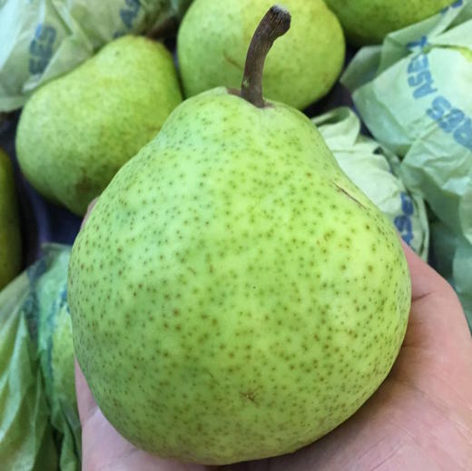 「水果优选」阿根廷青啤梨 商品图0