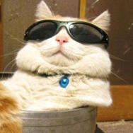 外星生物研究所200509