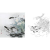 工笔花鸟白描底稿-路雨年-鲤鱼-斗方小品册页-A324 商品缩略图0