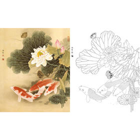 工笔花鸟白描底稿-路雨年-鲤鱼-斗方小品册页-A254