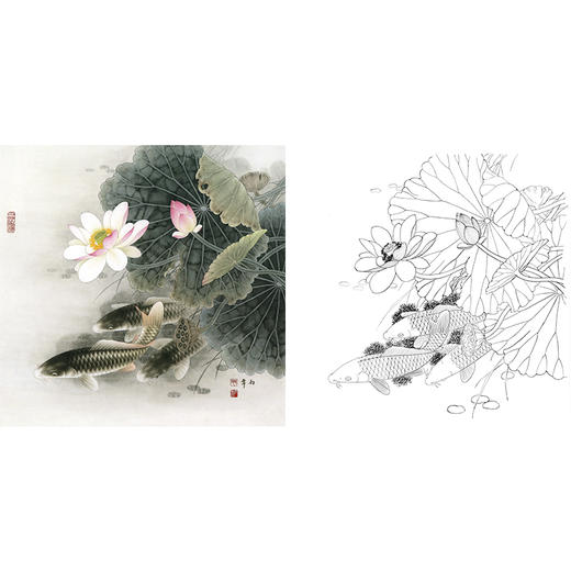工笔花鸟白描底稿-路雨年-鲤鱼-斗方小品册页-A322 商品图0