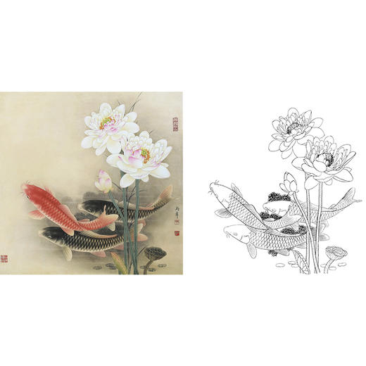 工笔花鸟白描底稿-路雨年-荷花鲤鱼-斗方小品册页-A260 商品图0