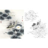 工笔花鸟白描底稿-路雨年-鲫鱼-斗方小品册页-A325 商品缩略图0