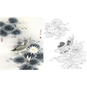 工笔花鸟白描底稿-路雨年-鲫鱼-斗方小品册页-A325