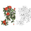 竖幅工笔花鸟白描底稿-A299 商品缩略图0
