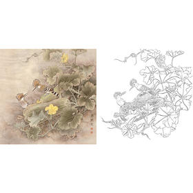 梁燕生工笔花鸟白描底稿-戴胜鸟南瓜-斗方小品册页-多种白描尺寸可选-A280