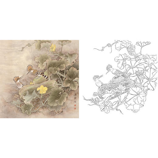 梁燕生工笔花鸟白描底稿-戴胜鸟南瓜-斗方小品册页-多种白描尺寸可选-A280 商品图0