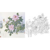 工笔花鸟白描底稿-田希丰牡丹-斗方小品册页-A275 商品缩略图0