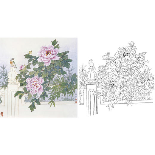 工笔花鸟白描底稿-田希丰牡丹-斗方小品册页-A275 商品图0