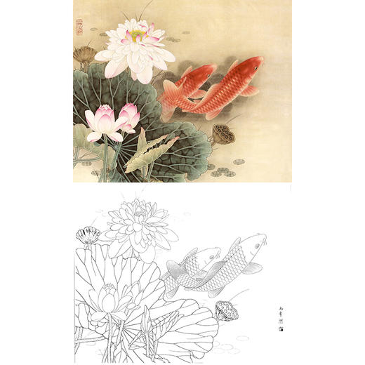 工笔花鸟白描底稿-路雨年-荷花鲤鱼-斗方小品册页-A246 商品图0
