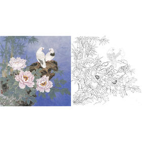 工笔花鸟白描底稿-田希丰牡丹-斗方小品册页-A284