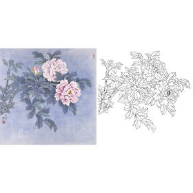 工笔花鸟白描底稿-田希丰牡丹-斗方小品册页-A282