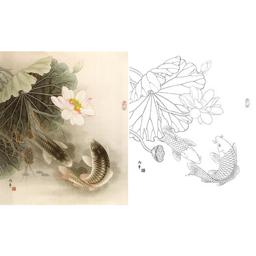工笔花鸟白描底稿-路雨年-鲤鱼-斗方小品册页-A253 商品图0