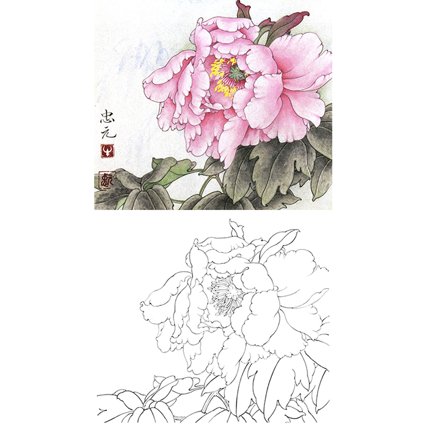 小品白描底稿-工笔花卉-牡丹-a232
