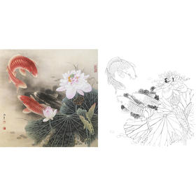 工笔花鸟白描底稿-路雨年-荷花鲤鱼-斗方小品册页-A273