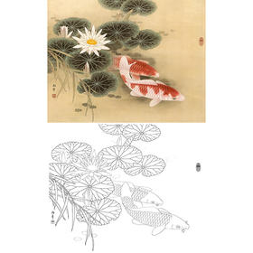 工笔花鸟白描底稿-路雨年-荷花鲤鱼-斗方小品册页-A247