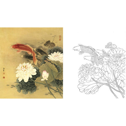 工笔花鸟白描底稿-路雨年-荷花鲤鱼-斗方小品册页-A323 商品图0