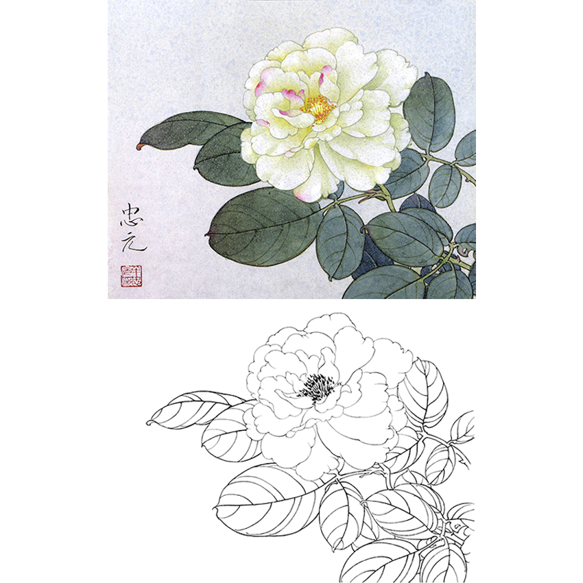 小品白描底稿-工笔花卉-a240