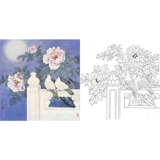 工笔花鸟白描底稿-田希丰牡丹鸽子-斗方小品册页-A274 商品图0