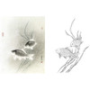 工笔花鸟白描底稿-路雨年-鲫鱼-斗方小品册页-A326 商品缩略图0