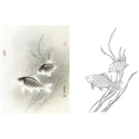 工笔花鸟白描底稿-路雨年-鲫鱼-斗方小品册页-A326